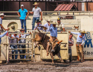 Oaxaca’s vibrant traditions Jaripeo